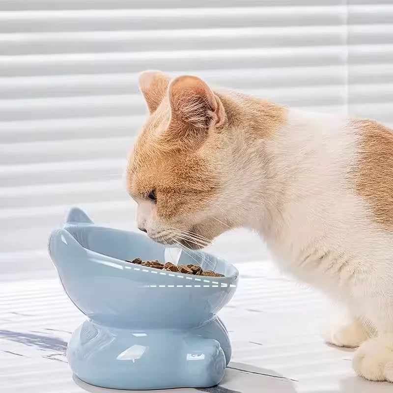 Cute Ceramic Cat Bowl with High Feet Dog Drinking Water Bowl Pet Supplies Cervical Spine Protection Diagonal Design Accessories