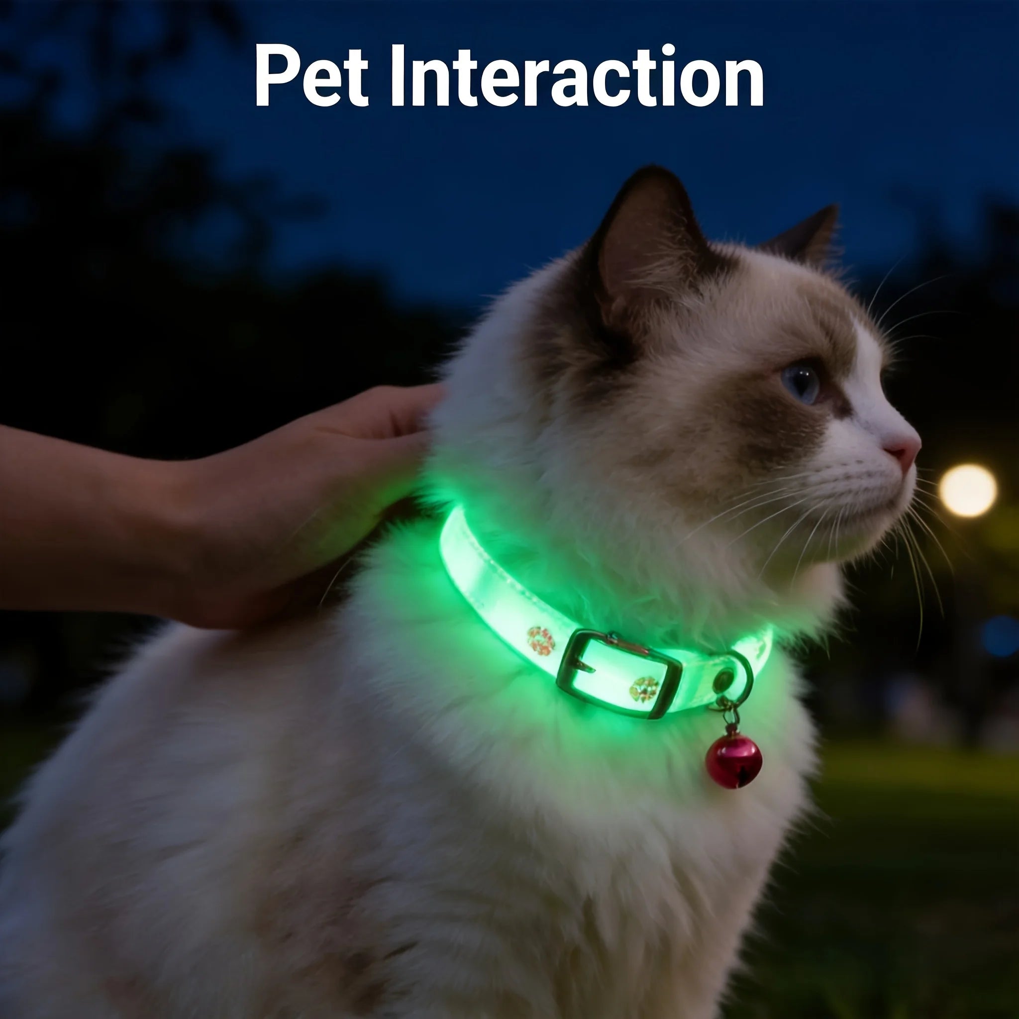 2pcs Pet Collar Set Night Walking Dog Anti-Lost Built-In Fluorescent Cat Dog Neck Ring with Bell (Color Random)