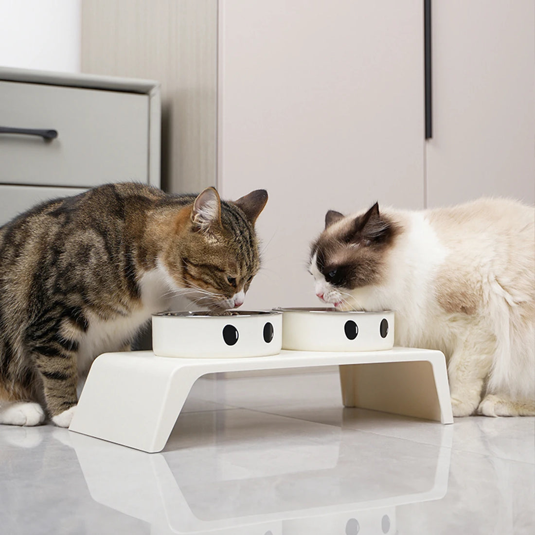 Elevated Pet Dog Feeder Bowls Raised Stand with Double Stainless Steel Food Water Bowls For Small Medium Large Dogs Cats